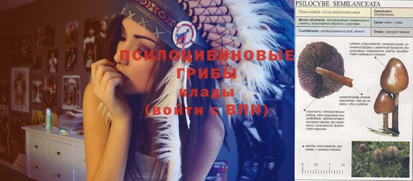 spice Балабаново